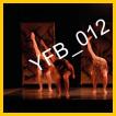 YFB_012