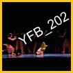 YFB_202